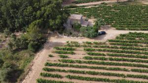 Maisons de vacances Le cabanon du capelan : photos des chambres