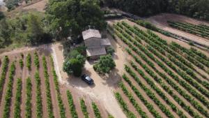 Maisons de vacances Le cabanon du capelan : photos des chambres