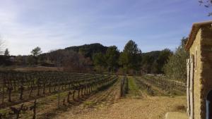 Maisons de vacances Le cabanon du capelan : photos des chambres