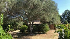 Maisons de vacances Le cabanon du capelan : photos des chambres