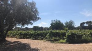 Maisons de vacances Le cabanon du capelan : photos des chambres