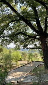 Maisons de vacances Le cabanon du capelan : photos des chambres