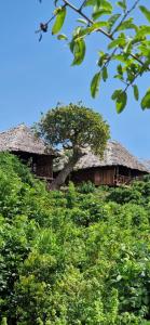 MONKEY MOUNTAIN LODGE