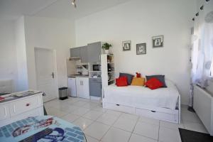 Les carpes a limoges