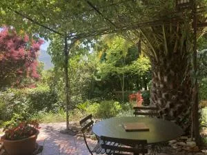 Le gite lotus - 西格