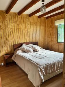 Cabaña Malalcahuello