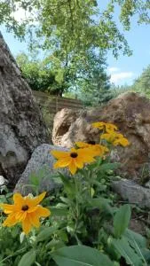 Domek w lesie nad jeziorem - Glińcz