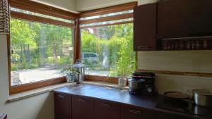 Domek w lesie nad jeziorem