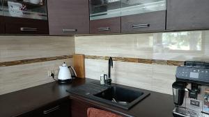 Domek w lesie nad jeziorem