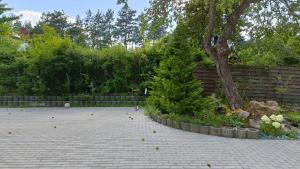 Domek w lesie nad jeziorem