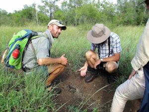 Rhino Walking Safaris