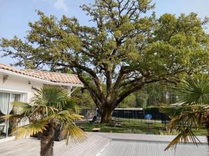 Maisons de vacances Maison 120 m2, piscine chauffee, en bordure de foret : photos des chambres