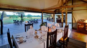 Rhino Walking Safaris