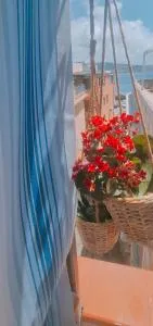 Ninù's Home - توري فارو