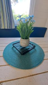 Campings Bungalow bord de mer : photos des chambres