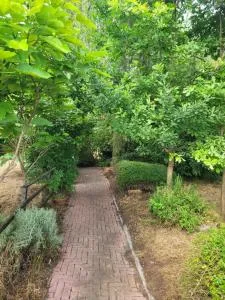 B&B Arcadia - Stradella