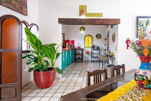 Casa Alebrije PV Centro