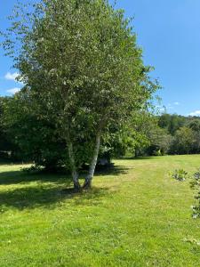 Maisons de vacances Les gites de la Joubertie : photos des chambres