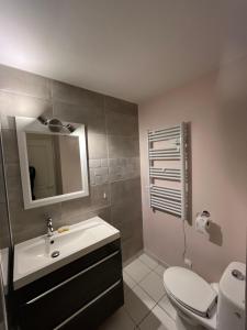 Résidence les grands pins, appartement Maubuisson