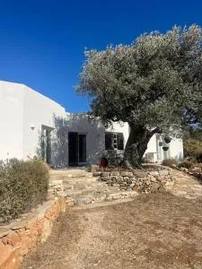Serene Villa close to Aliki & Paros Airport - Kamárion