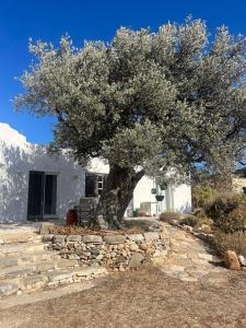 Serene Villa close to Aliki & Paros Airport