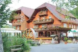 昂特雷卡普芬哈德特尔姆勒兰德酒店 - Schellbronn