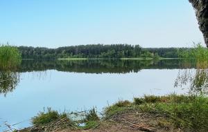 1 Bedroom Stunning Home In Rekowo