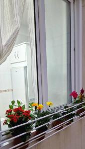 Apartamento Oroval Cruz