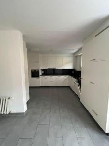 NH 3 Interlaken- Lucerne Lake I Mountain I unique I connect