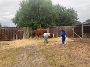 Fint hus med 3 sovrum nära Hörby