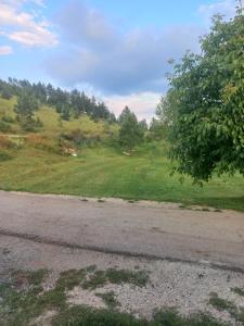 Petrovica