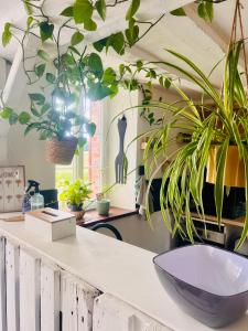 Maisons de vacances Echappee belle du Gatinais : photos des chambres