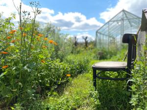 Siedlisko Białe Błota