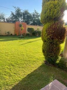 Estrella 2 senderos del lago