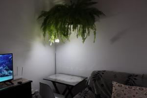 ALCA Apartamento exclusivo a 80 mts de Playa Pocitos