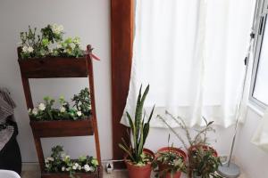 ALCA Apartamento exclusivo a 80 mts de Playa Pocitos