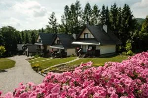 Dom Malowany - Domki - Przysłup