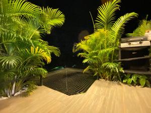 Verdes Hábitat Glamping