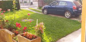 Apartman Arsić 2