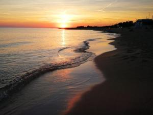 Appartamento - Rosamarina