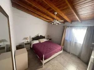 Cómodo departamento de huéspedes con cochera - Gobernador Benegas