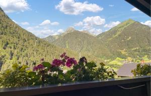 Ferienwohnung St Gallenkirch