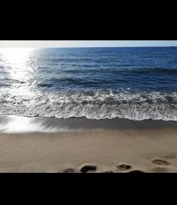 Zefir Leśnica - Gleźnowo