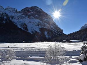 Chalets Chalet ensoleille avec balcon et poele a bois - FR-1-464-163 : photos des chambres