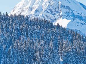 Appartement cosy 2 chambres au pied des pistes avec parking et WiFi - FR-1-505-92