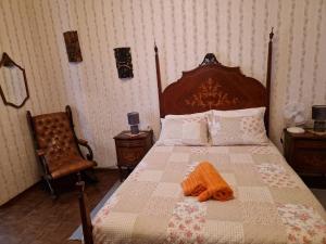 Horse Riding Country House