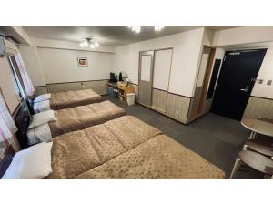 Fuji Park Hotel - Vacation STAY 23859v
