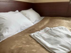 Fuji Park Hotel - Vacation STAY 23854v