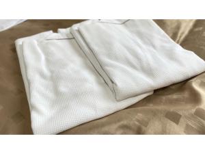 Fuji Park Hotel - Vacation STAY 23854v