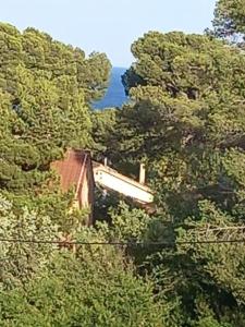 Superbe appartement Fabrégas